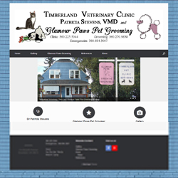 image Timberland Pet Clinic website