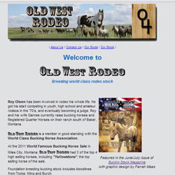 image of Old West Rodeo website